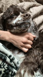 00ea476d 8bce 4bad A620 B5ba2967ad11