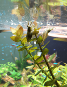 051ad7e3 F50a 471b 9d30 E0d4a003b122