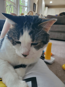 0e3d7425 E65d 4be2 9081 F834f9121bb4