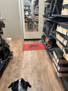 10a7efd4 Fa09 4511 B31b 2e6a530d5567