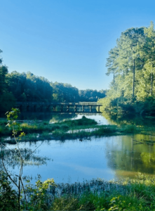 12beb7db 90a3 4fe1 953f C7901a8f332e