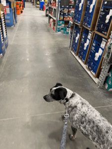 1b441e9e 04df 4c2d A971 Bf1f2a4887d2