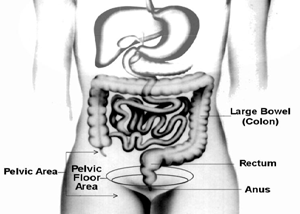 Intestinal pseudo-obstruction