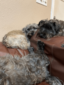 2d4fb65c 7e18 44d0 83da 2ff01cf084d1