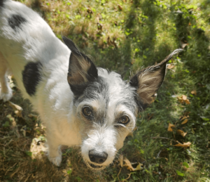 3353dc6f Cbae 4f36 Bfdc 16272378978c