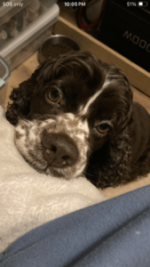 3de3d26b Dc81 4b4f 99aa 5a8dfa46f09b