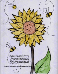 5216a4e6 E976 4636 829b 0a9569d70358