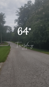 53bf2620 Cc14 4214 Ae82 A90c7b54d40e