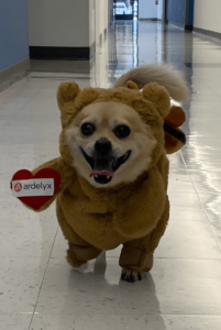 6495ef8b A90f 40a8 Bfd7 76525a8b3cdd