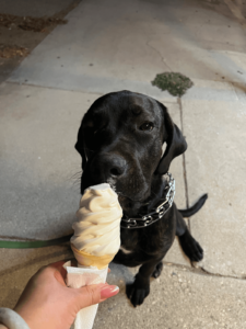 689d275e 340f 418d 92f4 9b49fc96dbbf