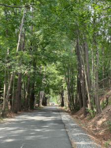 742301b3 C129 4872 B309 87677be26584