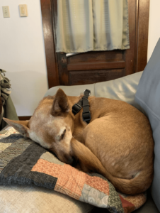 8bcfe1d6 B91c 4a7d B8a1 F910fb388a71