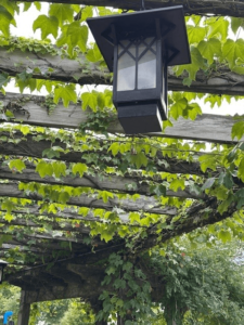 91a40df5 8033 4f85 A735 843dbc326289