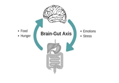 functional GI disorders