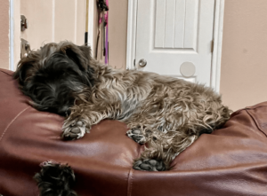 A2e4cad5 D336 4faf B350 D41725e7c204