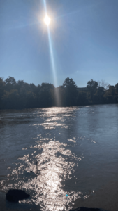 B43d26f5 7a7c 4ab9 A31d E6831f6c8600