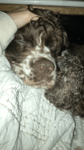 B945478a 5a9f 4fec A587 272b7c3aec8b