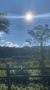 Bad4cee6 4b85 4192 8b14 3c4b657ef90a