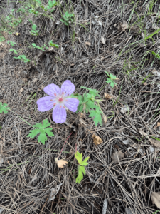 D577c87d Ea79 4b5a A5db E30614ceaa54