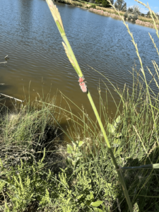 Ddcb9e82 Ec96 4790 9d42 4d2cdd4a4f08