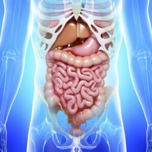 gastrointestinal disorders