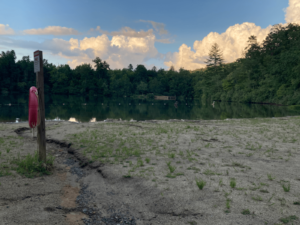 Eaa28bc7 3293 4730 Aa50 A2d466c79a13