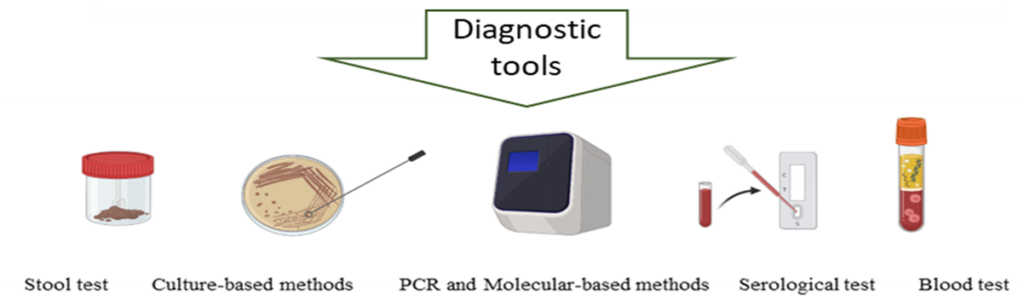 GI Infections: Diagnostic tools