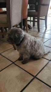 2025 Virtual Wellness Event Scrapbook picture